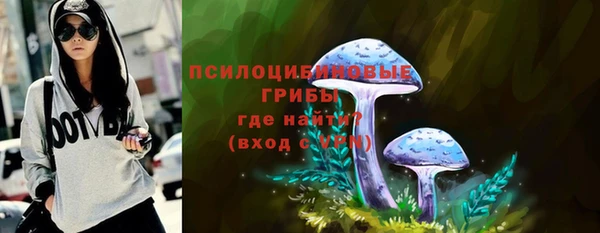 молекула духа Алексин