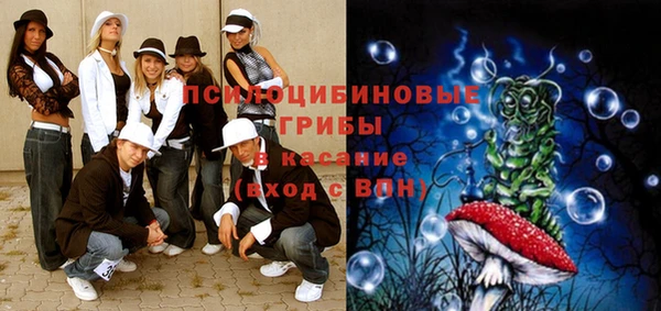 молекула духа Алексин